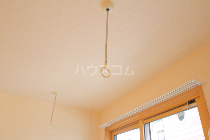 21/29 その他画像