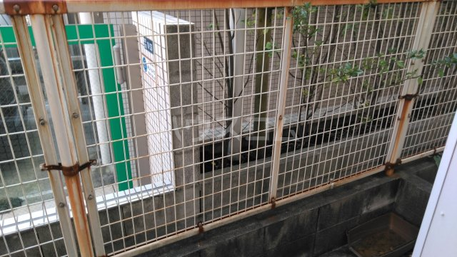 14/24 その他画像