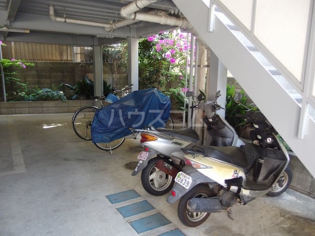 20/30 その他画像