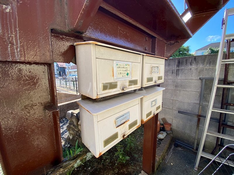 20/30 その他画像