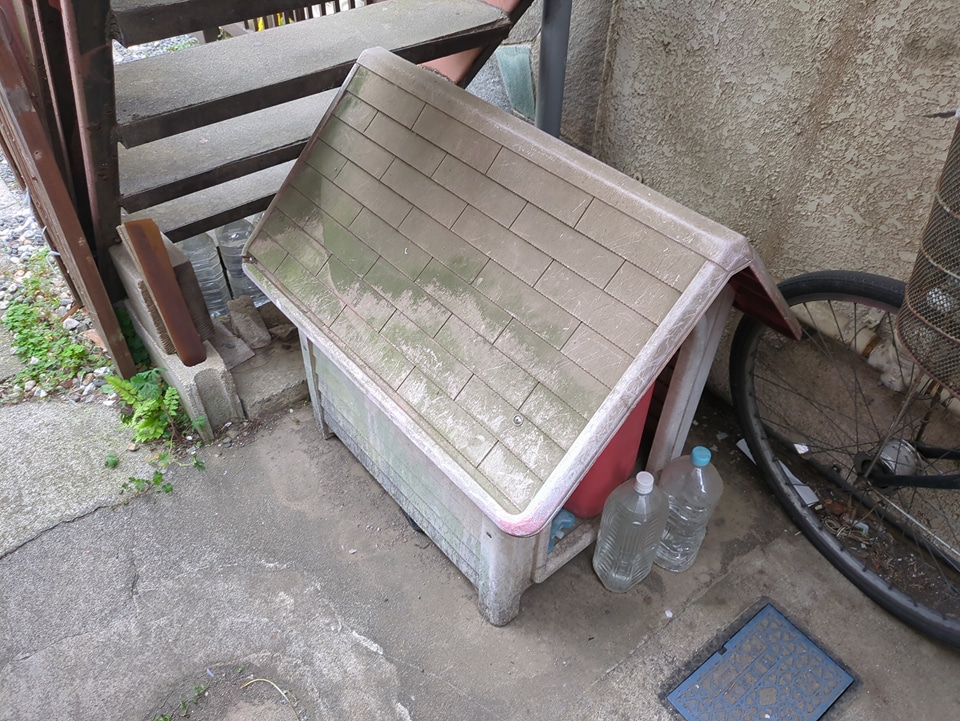 19/28 その他画像