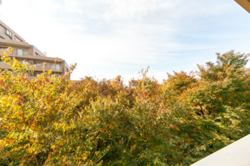 13/27 その他画像