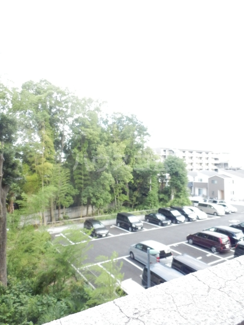 15/29 その他画像