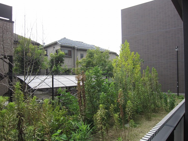 15/30 その他画像