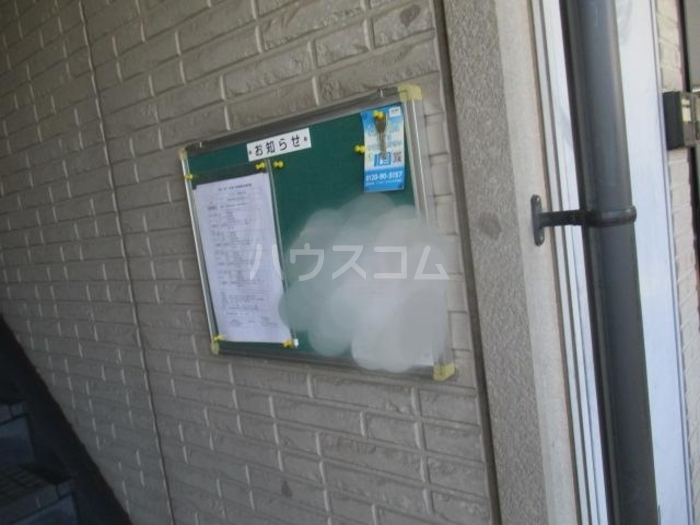 17/19 その他画像