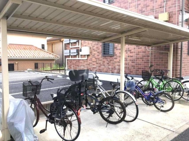 6/11 その他画像