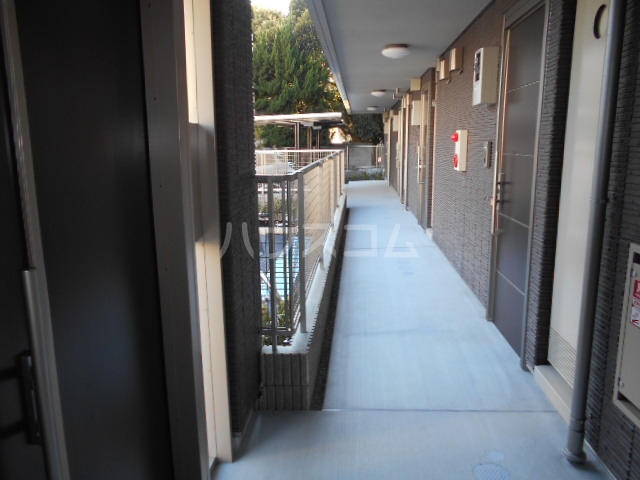 15/29 その他画像