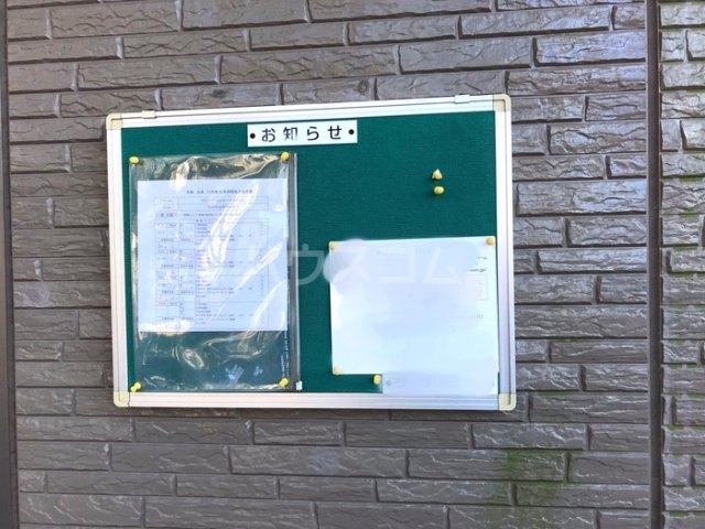 8/11 その他画像