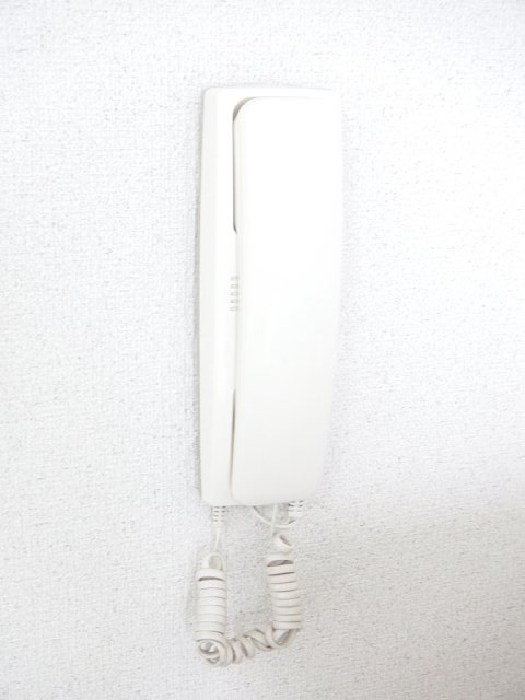 13/19 その他画像