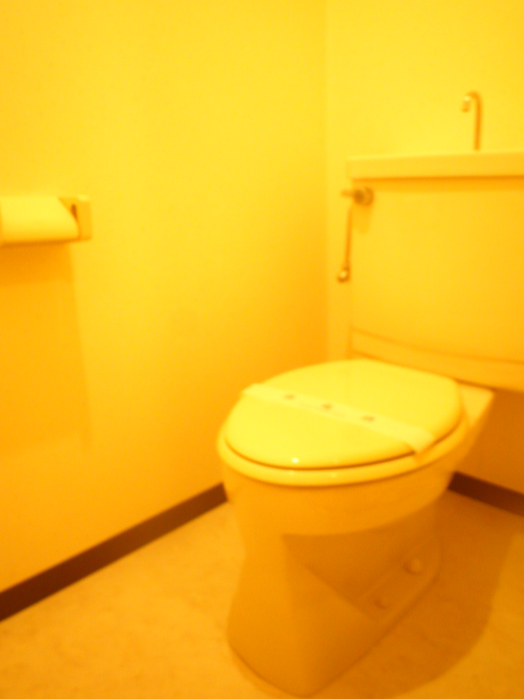 11/29 トイレ