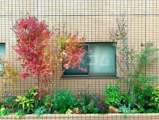 13/24 その他画像