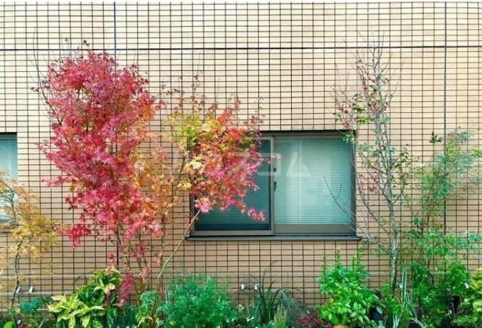 14/24 その他画像