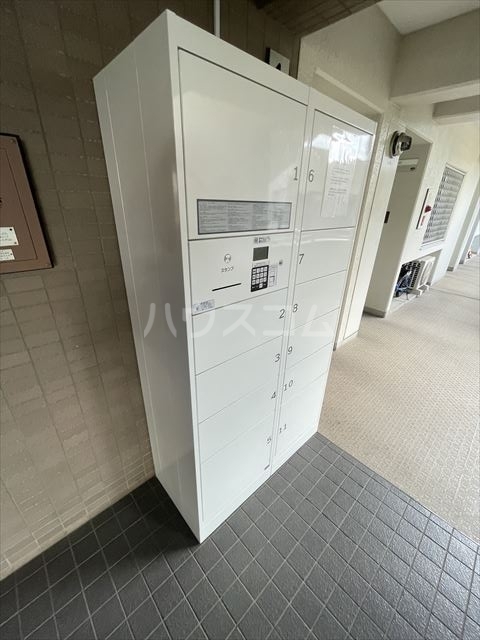 20/30 その他画像