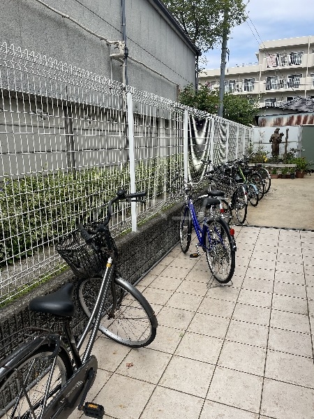 20/30 その他画像