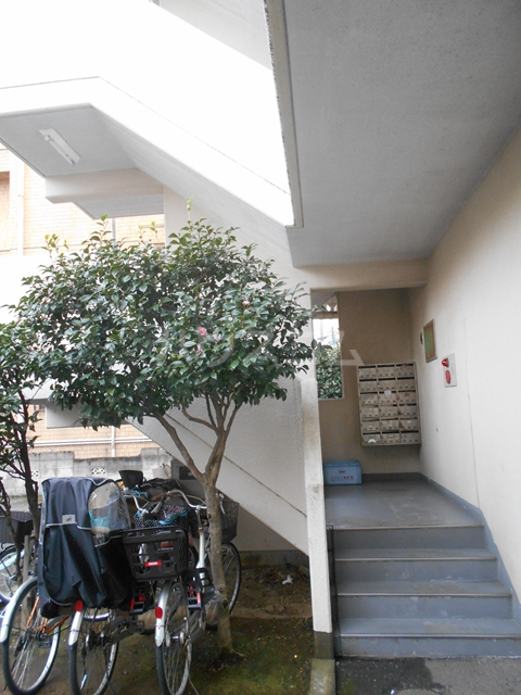 29/30 エントランス