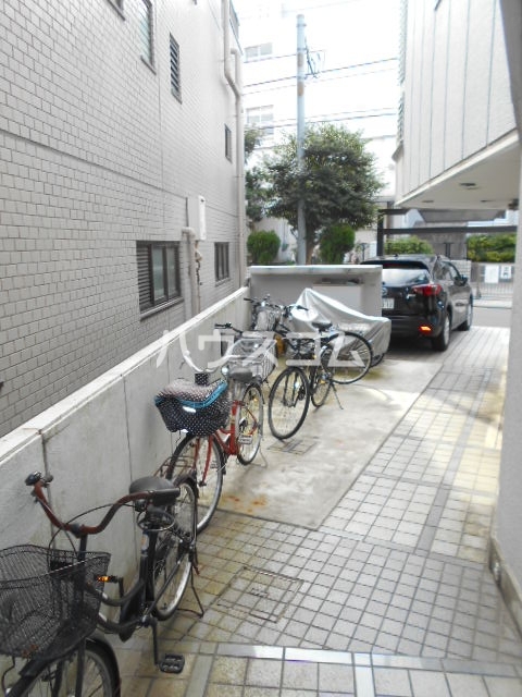 5/17 その他画像