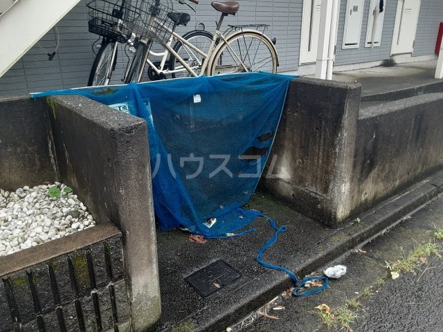 11/28 その他画像