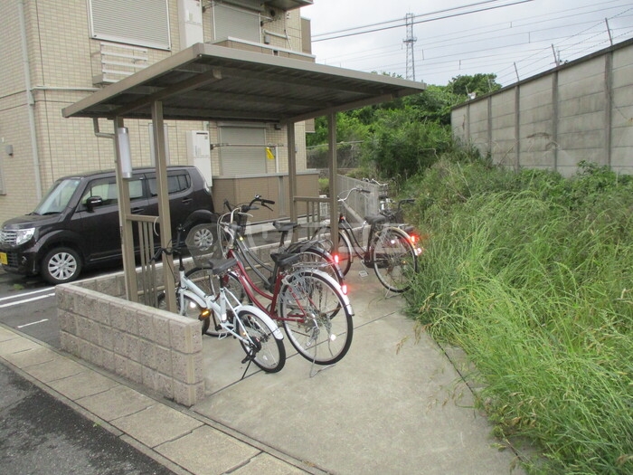 15/19 その他画像