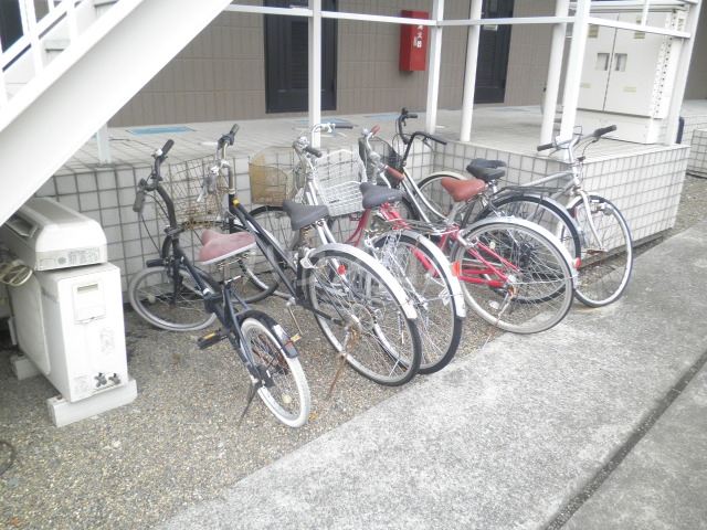 20/30 その他画像