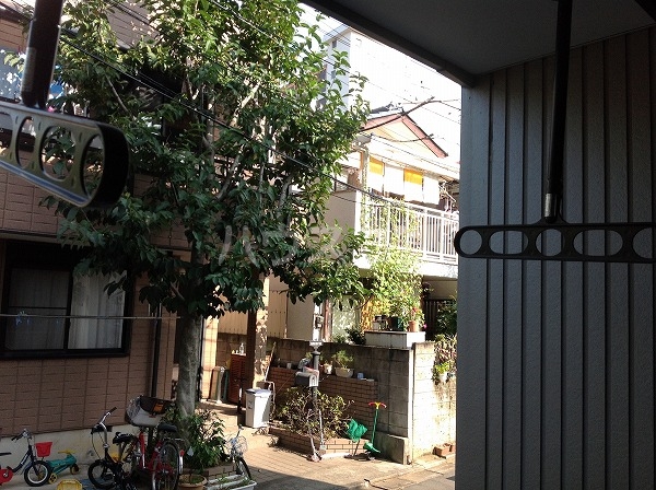 17/30 その他画像