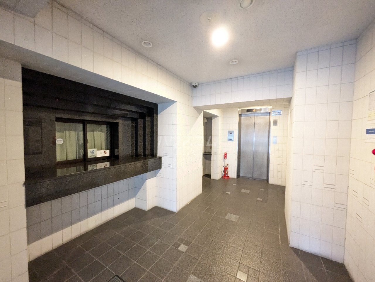 15/30 その他画像