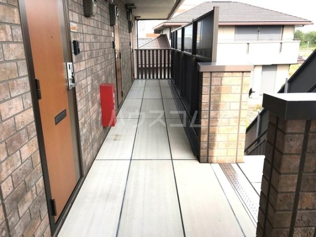 5/11 その他画像