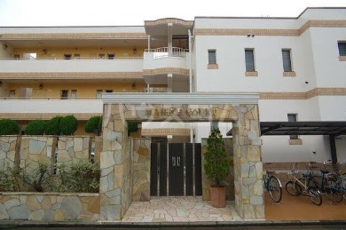 17/29 その他画像