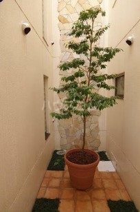 18/29 その他画像