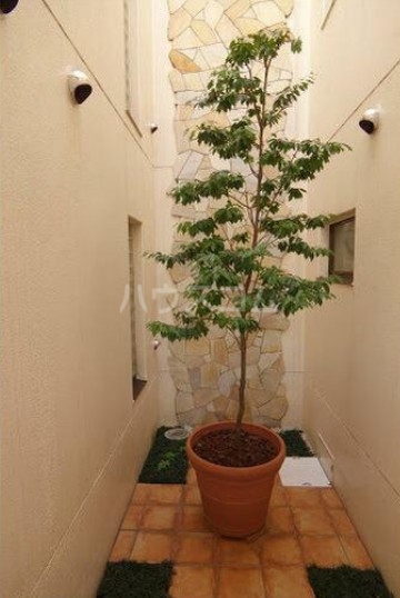 11/22 その他画像