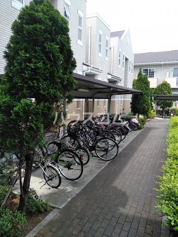 15/19 その他画像