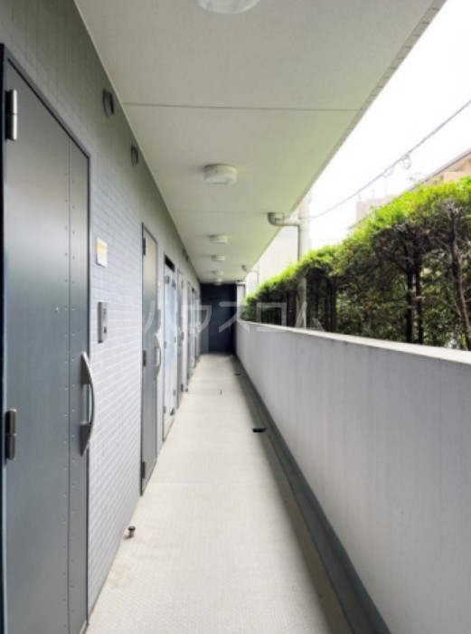 4/17 その他画像