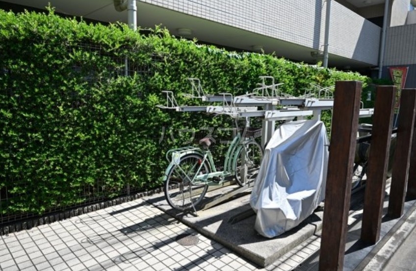 5/17 その他画像