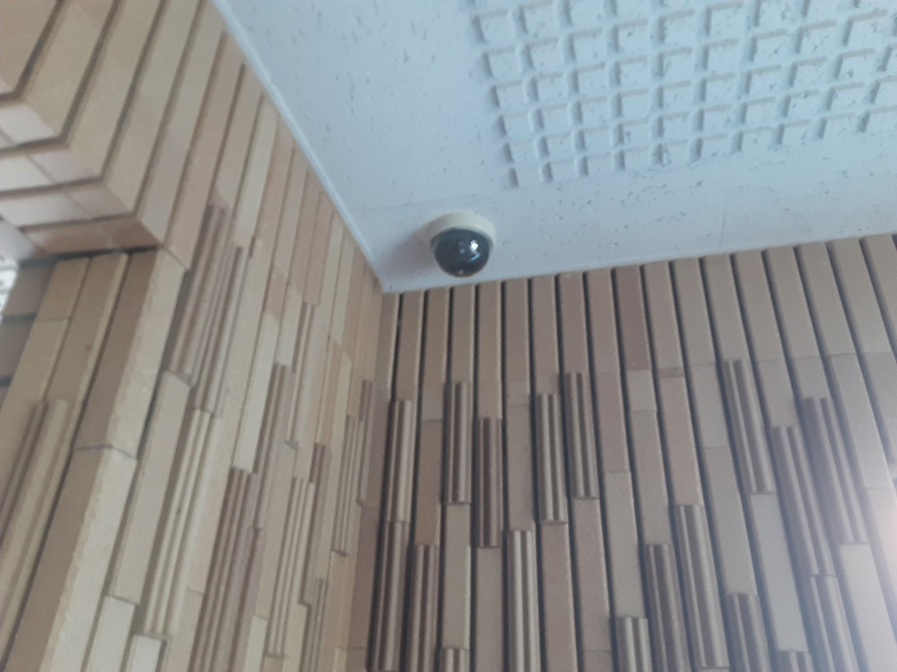 19/29 その他画像