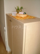 11/11 その他画像