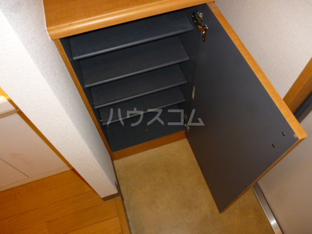 20/30 その他画像