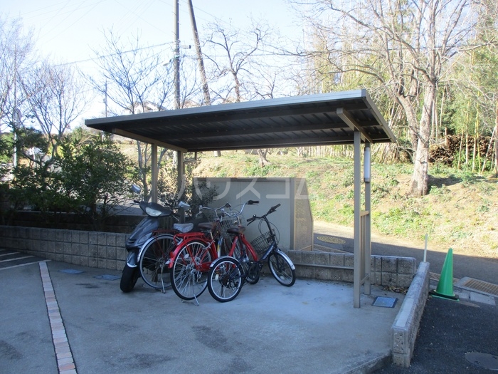 15/17 その他画像