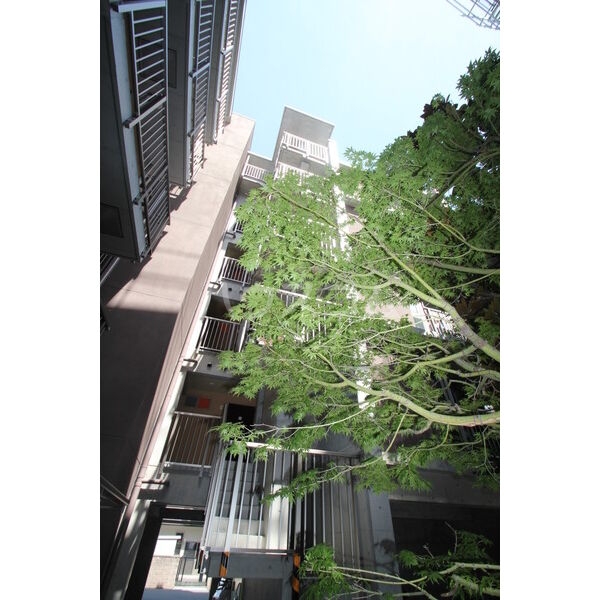 17/30 その他画像