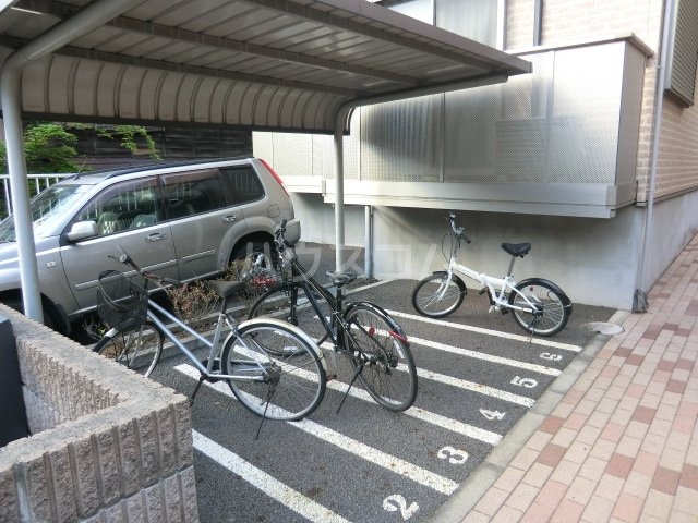 20/30 その他画像