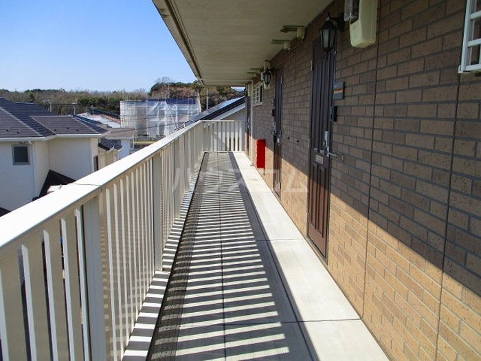 16/19 その他画像