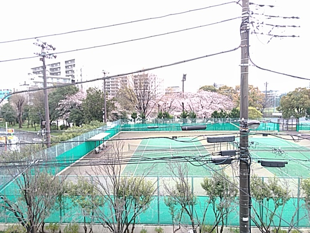 21/29 その他画像