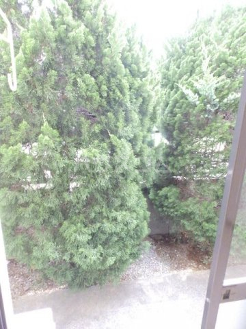 16/21 その他画像