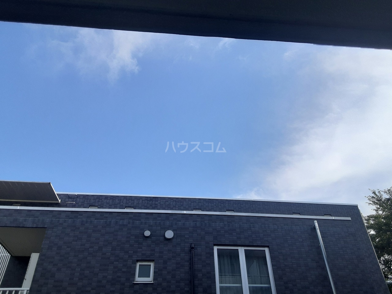 15/29 その他画像