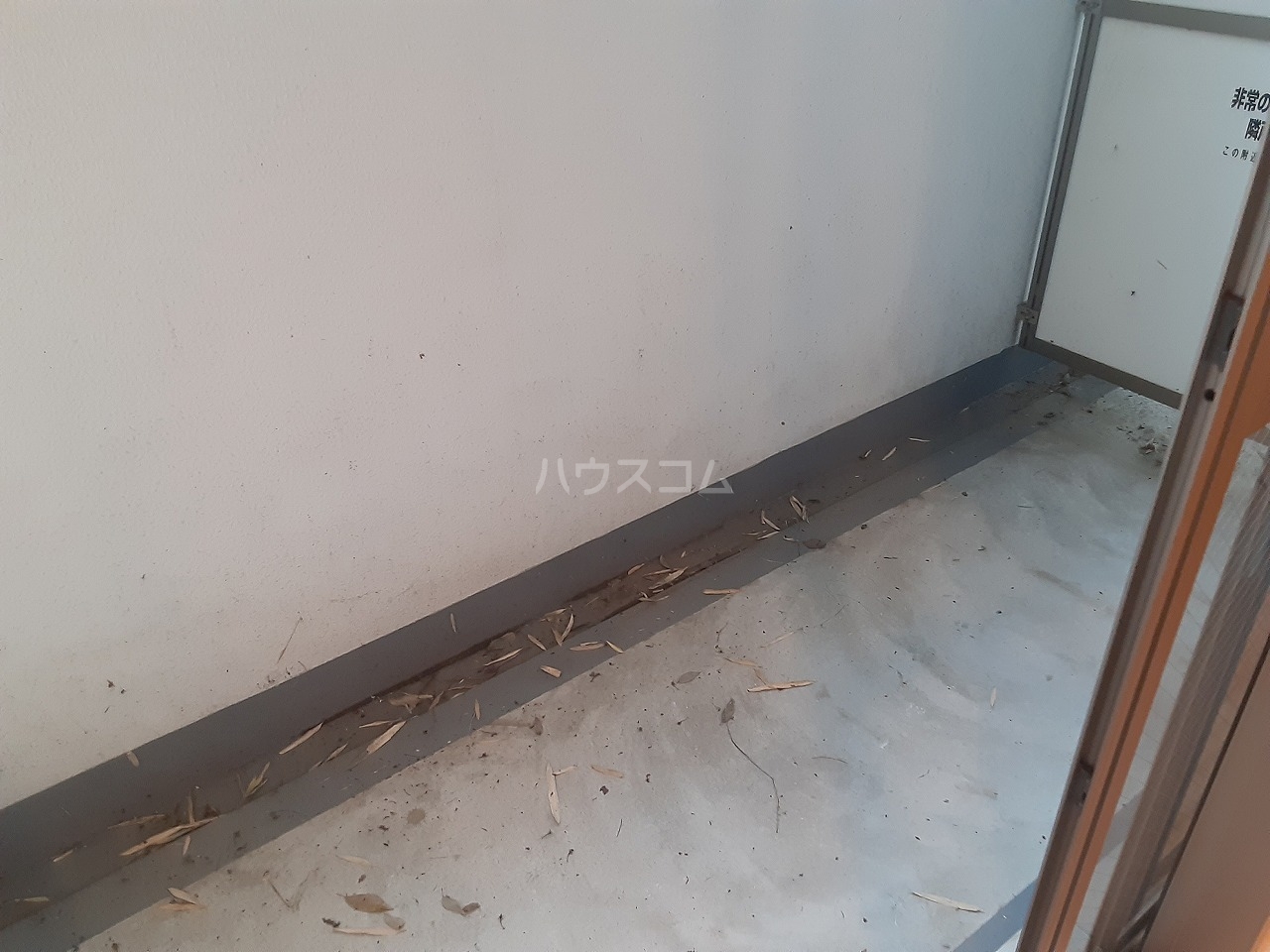 17/29 その他画像