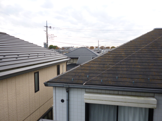 21/24 その他画像