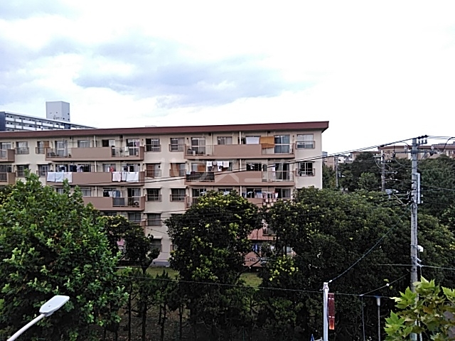 15/19 周辺