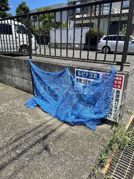 15/29 その他画像