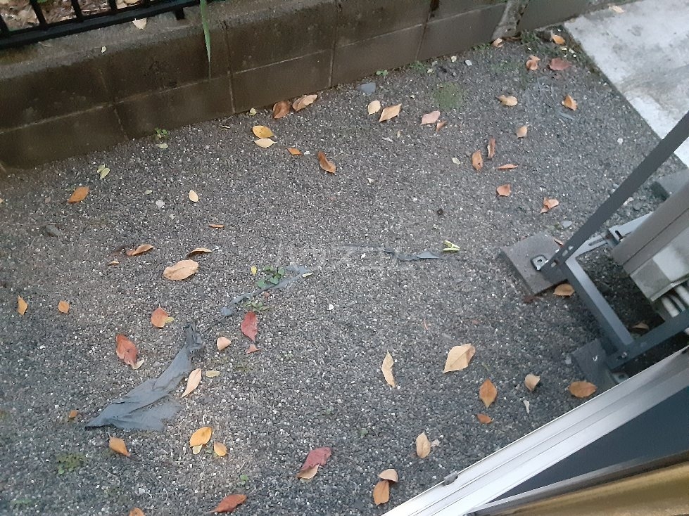 15/29 その他画像