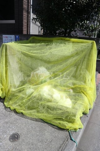 17/26 その他画像