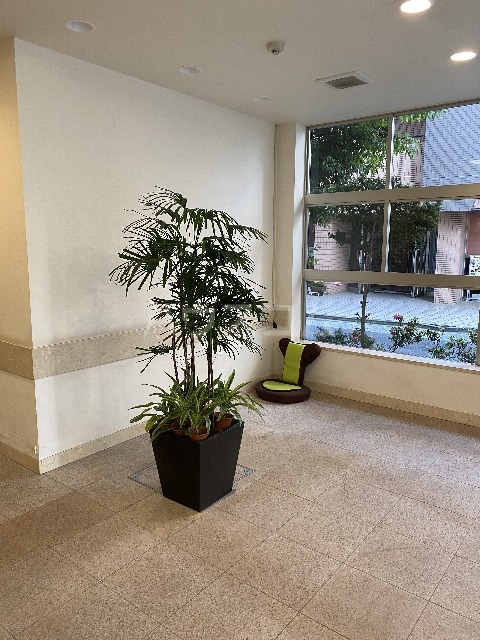 15/30 その他画像