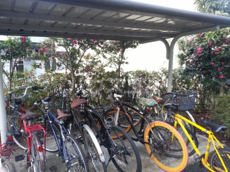 20/26 その他画像